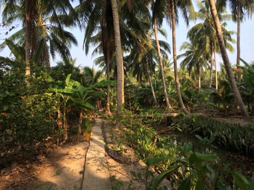 Charming Countryside Homestay Ben Tre Bagian luar foto