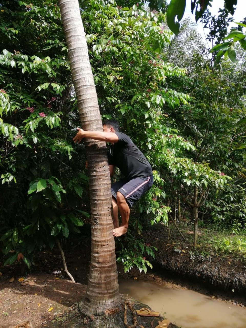 Charming Countryside Homestay Ben Tre Bagian luar foto